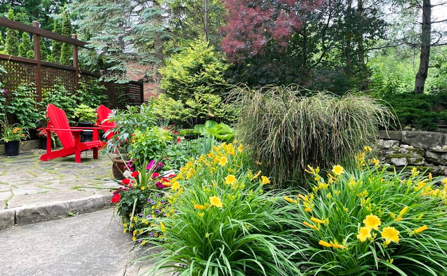 Stone patio with red Adirondack chairs surrounded by yellow daylilies and garden beds
