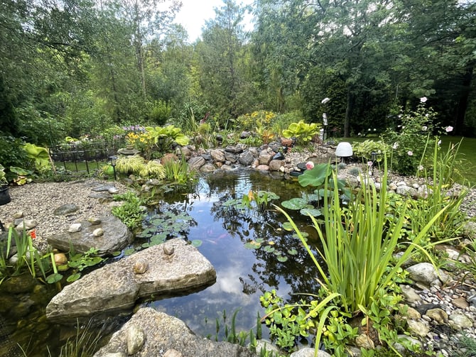 Garden pond with waterfall and mature trees at Hammer Haus