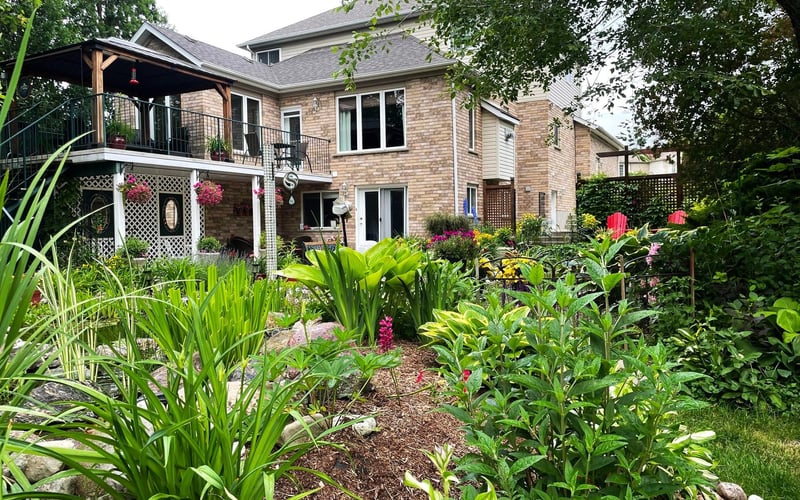 Rear Yard