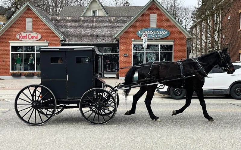 Horse and buggy passing through St. Jacobs village