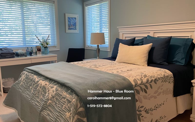 Deluxe Queen – Blue Room