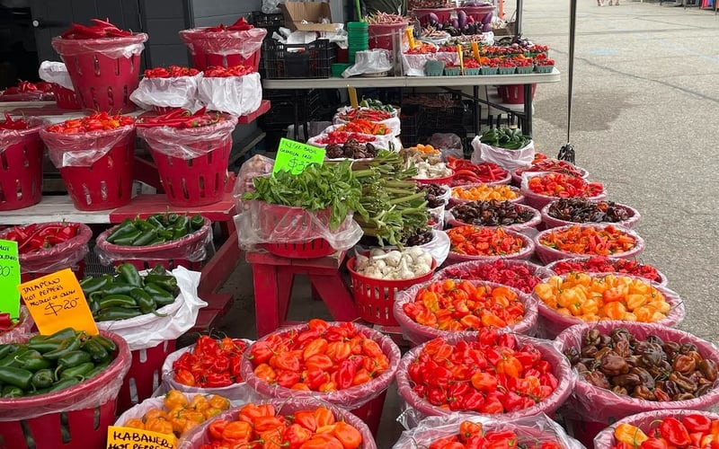 Colourful pepper and hot pepper vendor stall