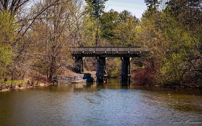 Trestle bridge over the Avon River