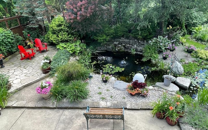 Pond garden from above