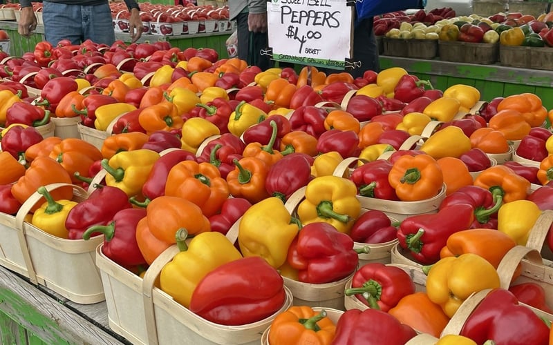 Sweet bell peppers in baskets at the farmers' market
