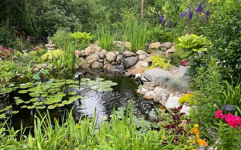 Garden Pond & Waterfall